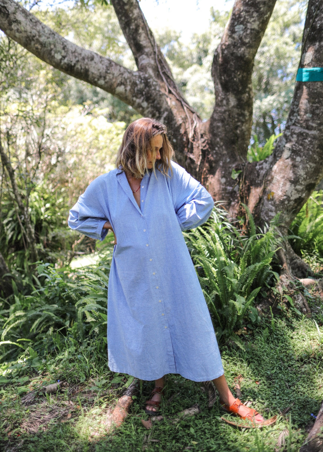 Chambray Neroli Dress